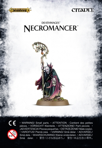 Soulblight Gravelords - Necromancer